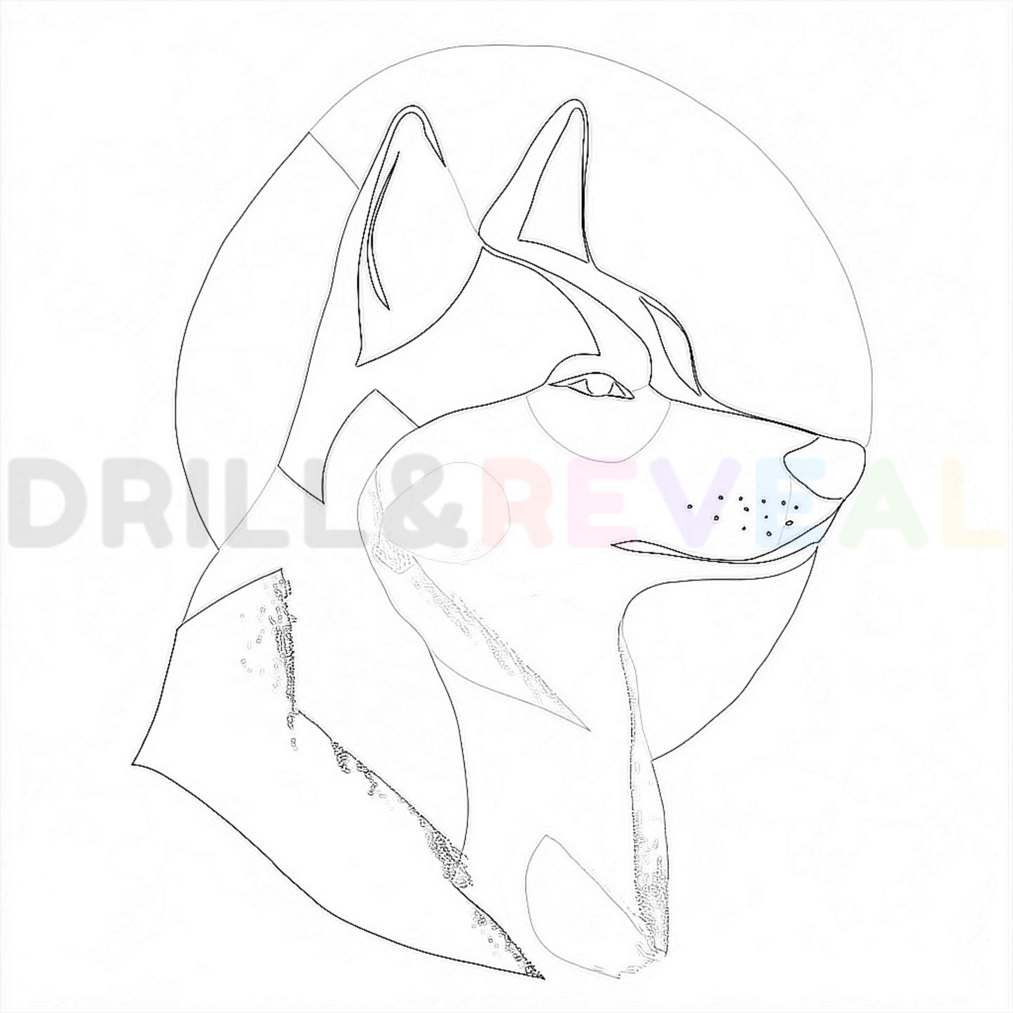 Arctic Majesty Coloring Page