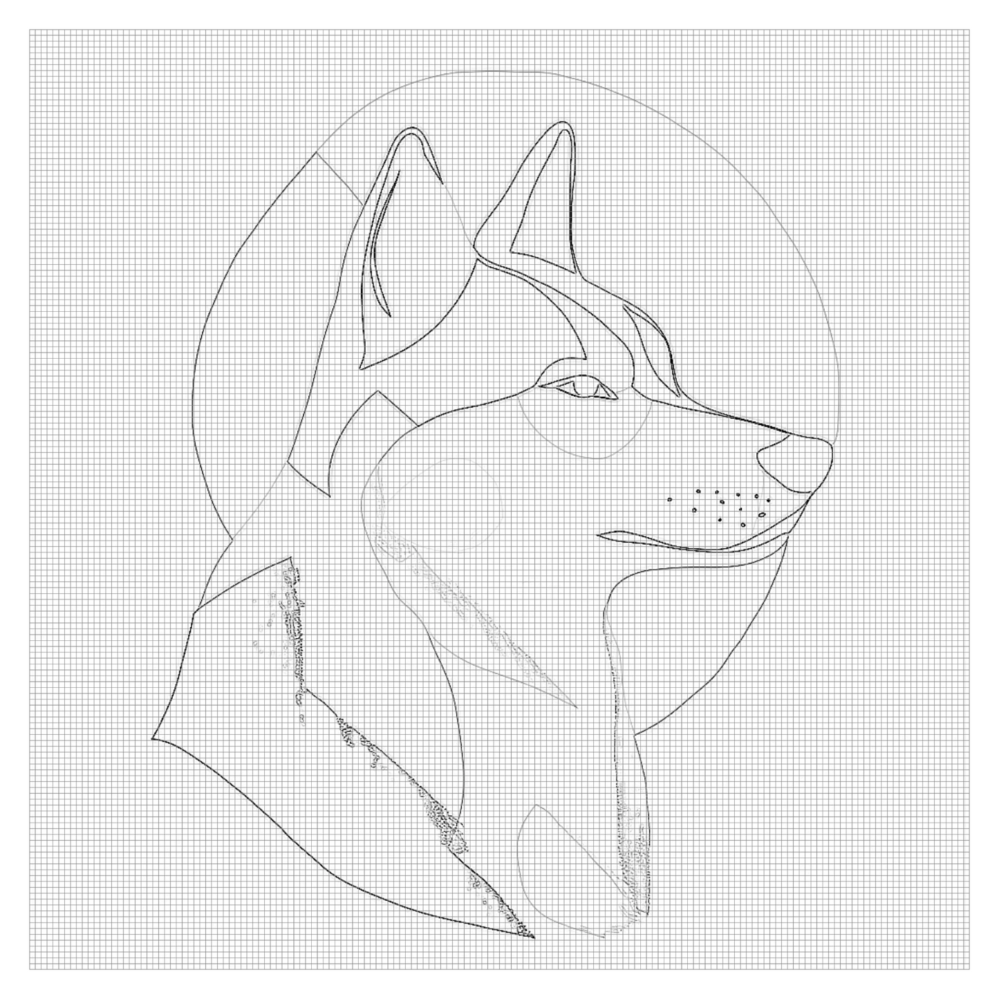 Arctic Majesty Coloring Page