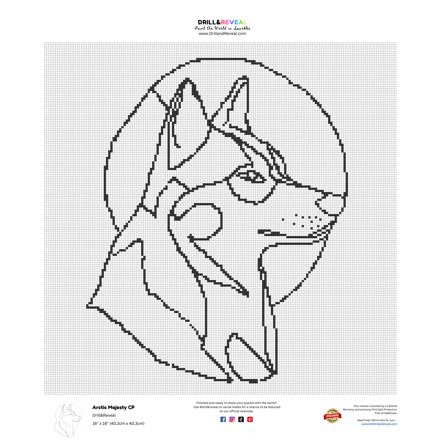 Arctic Majesty Coloring Page